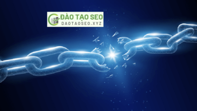 Dịch Vụ Backlink